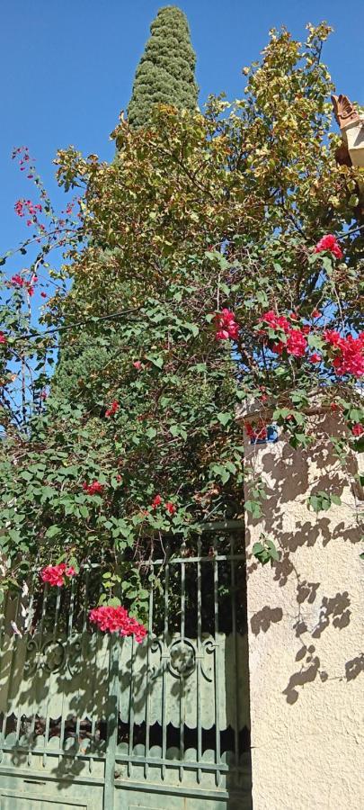 Athenian Asty Guesthouse エクステリア 写真